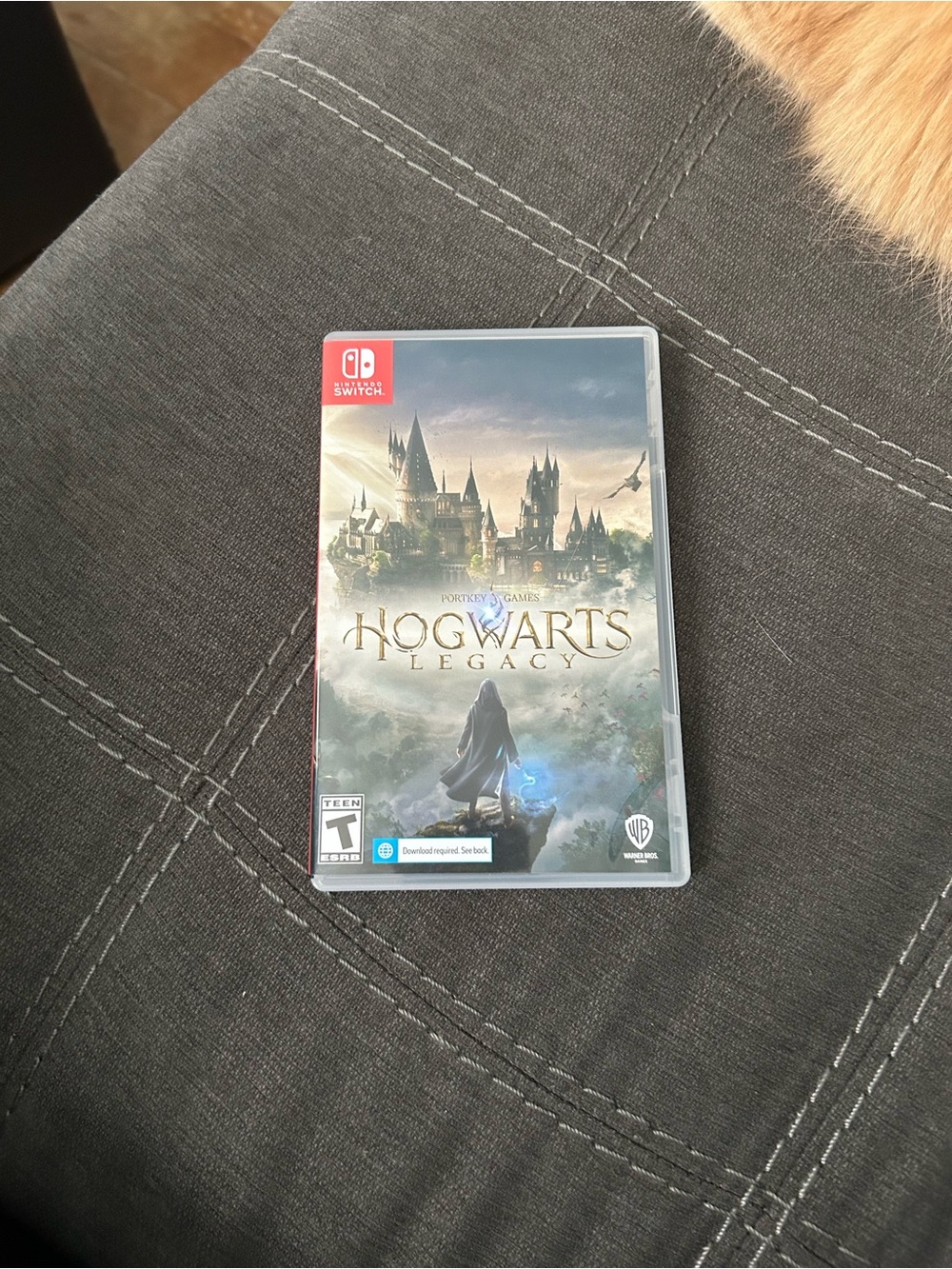 Nintendo switch Hogwarts Legacy Game